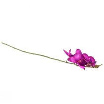 gjenstander Orchid Artificial Phalaenopsis 4 blomster Fuchsia 72cm