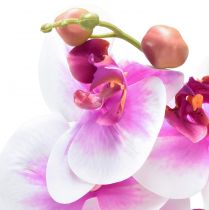 gjenstander Orchid Artificial Phalaenopsis 4 Blomster Hvit Rosa 72cm