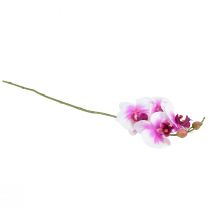 gjenstander Orchid Artificial Phalaenopsis 4 Blomster Hvit Rosa 72cm