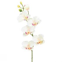 gjenstander Orkidé Phalaenopsis kunstig 6 blomster kremrosa 70cm