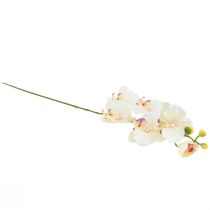 gjenstander Orkidé Phalaenopsis kunstig 6 blomster kremrosa 70cm