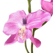 gjenstander Orchid Phalaenopsis kunstig 6 blomster lilla 70cm