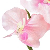 gjenstander Orkidé Phalaenopsis kunstig 6 blomster rosa 70cm