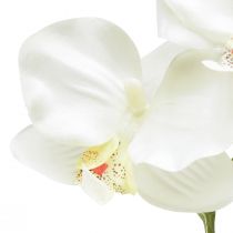 gjenstander Orchid Phalaenopsis kunstig 6 blomster hvit krem 70cm