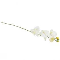 gjenstander Orchid Phalaenopsis kunstig 6 blomster hvit krem 70cm