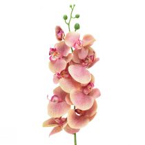 gjenstander Orchid Phalaenopsis kunstig 9 blomster rosa vanilje 96cm