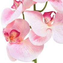 gjenstander Orchid Phalaenopsis kunstig 9 blomster rosa hvit 96cm