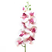 gjenstander Orkidé Phalaenopsis kunstig 9 blomster hvit fuchsia 96cm