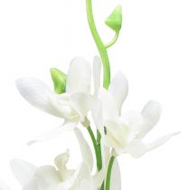 gjenstander Orkideer kunstige Oncidium kunstige blomster hvite 90cm