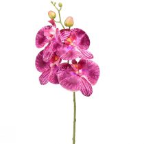 Orkidé flammet kunstig Phalaenopsis lilla 72cm