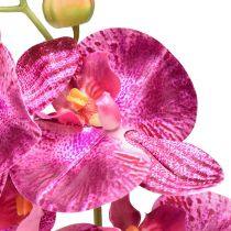 gjenstander Orkidé flammet kunstig Phalaenopsis lilla 72cm