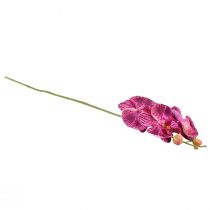 gjenstander Orkidé flammet kunstig Phalaenopsis lilla 72cm