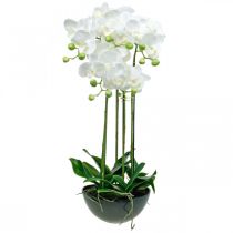 Kunstige orkideer i en gryte hvit kunstig plante 63cm