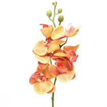 Kunstig orkide Phalaenopsis flammet rød gul 78cm
