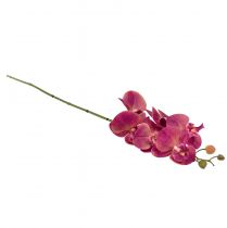 gjenstander Kunstig orkide Phalaenopsis Orchid Fuchsia 78cm