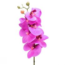 gjenstander Kunstig orkide Phalaenopsis Orchid Rosa 78cm