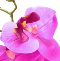 gjenstander Kunstig orkide Phalaenopsis Orchid Rosa 78cm