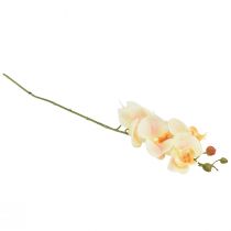 gjenstander Artificial Orchid Cream Orange Phalaenopsis 78cm