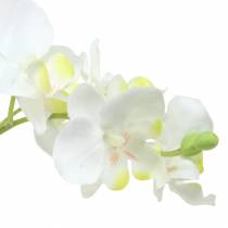 Orkideer hvite i en gryte kunstig plante H35cm