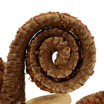 gjenstander Palm Hanne Natur 25 stk