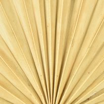 gjenstander Palmespydsol Naturlig palmeblad tørket naturlig dekorasjon 30 stk