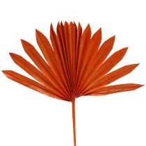 gjenstander Palmspear Sun Orange 30stk