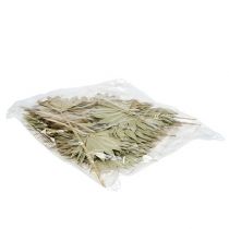 gjenstander Palmespyd Sol mini natur 50 stk