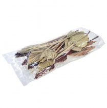 gjenstander Palmespyd mini assortert Marokko 30 stk