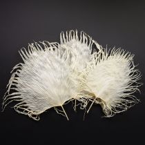 gjenstander Palmeblader tørkede dekorative blader bleket 45 cm 5 stk