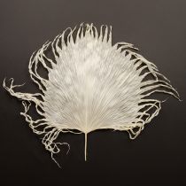 gjenstander Palmeblader tørkede dekorative blader bleket 45 cm 5 stk