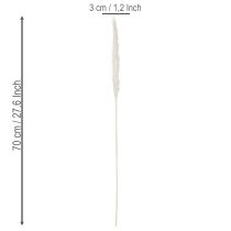 gjenstander Pampasgress tørkede blomster bleket 70 cm 15 stk