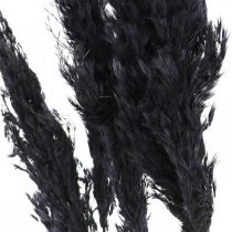 Pampagress sort 65-75cm tørt gress naturdekor 6stk