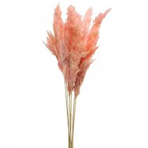 Pampagress tørket rosa tørr blomsterdekor 65-75cm 6stk i haug