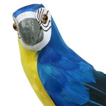 Dekorativ papegøyeblå 44cm