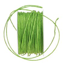 gjenstander Papirsnor trådpakket Ø2mm 100m eplegrønn
