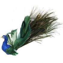 Paradisfugl, påfugl å klemme, fjærfugl, fugledekor blå, grønn, fargerik H8,5 L29cm