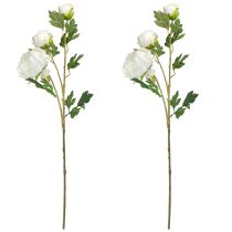 gjenstander Kunstige peoner med 3 blomster hvit krem 81cm 2stk