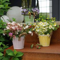 Dekorativ potte, metallbøtte for planting, plantekasse med håndtak, rosa/grønn/gul shabby chic Ø14,5cm H13cm sett med 3 stk.