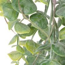 gjenstander Kunstig eukalyptuskrans hengende plante for innendørs og utendørs hjemmedekorasjon, 92 cm