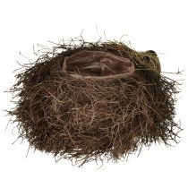 gjenstander Pinnsvinplantekasse laget av slyngplanter 22 cm x 25 cm