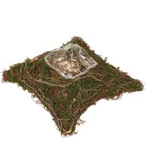 gjenstander Plantepute lianer mose planteskål naturlig 20×20×6,5 cm