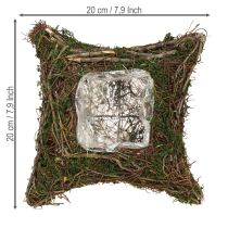 gjenstander Plantepute lianer mose planteskål naturlig 20×20×6,5 cm