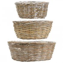 gjenstander Sett med 3 flettede kurver, blomsterkasser, dekorative kurver, hvitvasket vintage-stil, Ø21,5/26/31 cm for hjem og hage