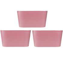 gjenstander Planteskål oval rosa pynteskål plast 20×10×11cm 3stk