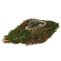 gjenstander Planting av båtranker og moseplanteskål 31 × 17 × 6 cm