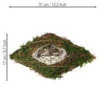 gjenstander Planting av båtranker og moseplanteskål 31 × 17 × 6 cm