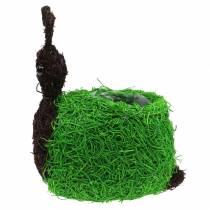 gjenstander Plantekasse Snegl Vine Naturlig, Grønn 21x14cm H26cm