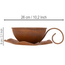 gjenstander Plantekopp med skål, blomsterpotte, rustfarget, Ø19,5 cm, H8 cm