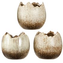 gjenstander Plantepotte Keramisk Egg Broken Cream Brun Ø9,5cm 3 Stk