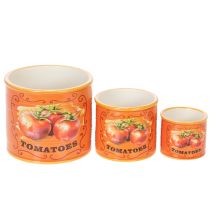 gjenstander Tomatplantepottesett, dekorative blomsterpotter i keramikk for kjøkken og retrodekor, 14 cm, sett med 3